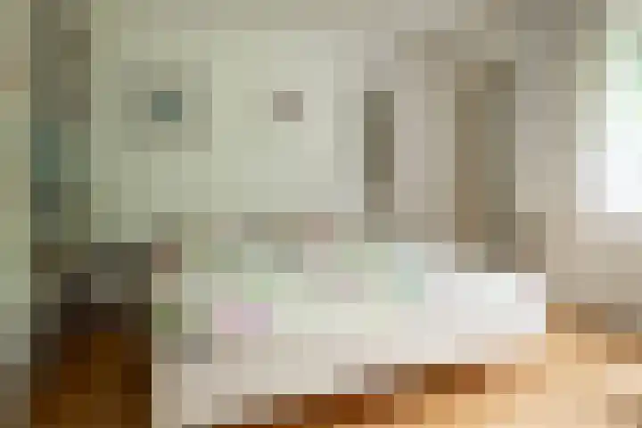 Eduard Flipsestraat 6 Hengelo thumbnail 31
