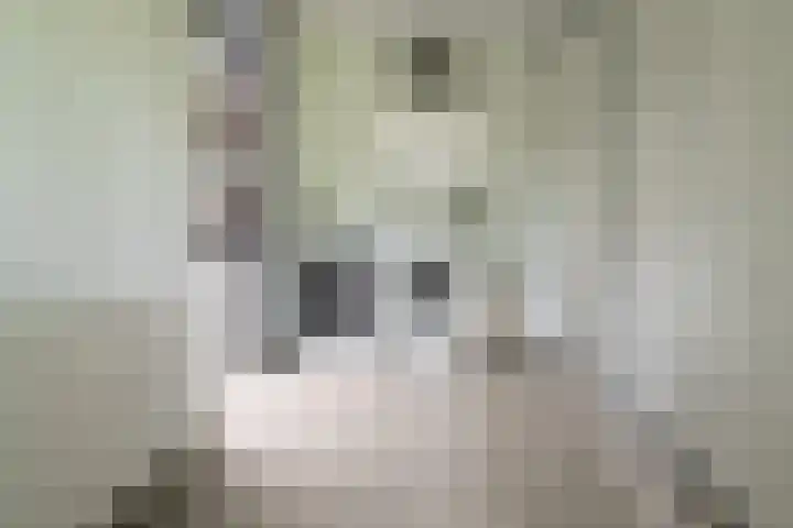 Eduard Flipsestraat 6 Hengelo thumbnail 32