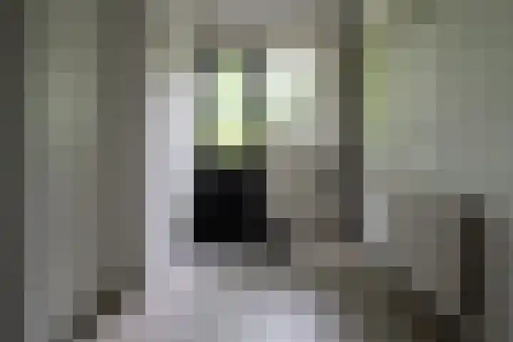 Eduard Flipsestraat 6 Hengelo thumbnail 33