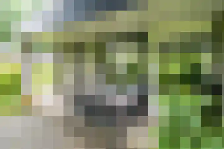 Eduard Flipsestraat 6 Hengelo thumbnail 34