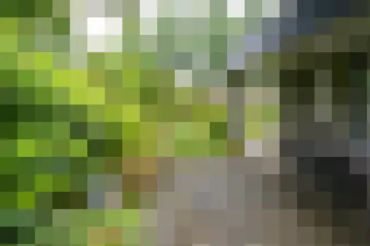 Eduard Flipsestraat 6 Hengelo thumbnail 35