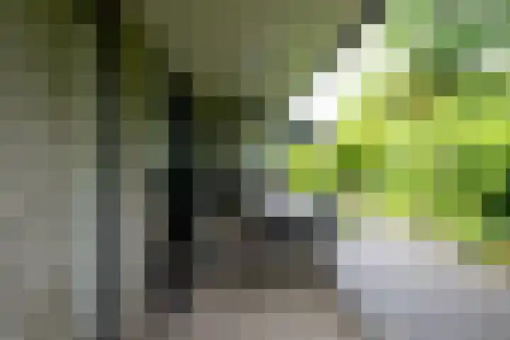 Eduard Flipsestraat 6 Hengelo thumbnail 36