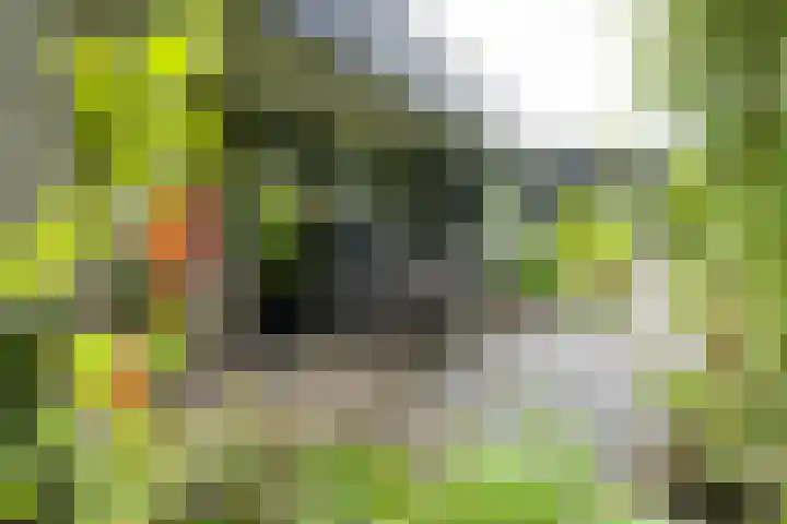 Eduard Flipsestraat 6 Hengelo thumbnail 37