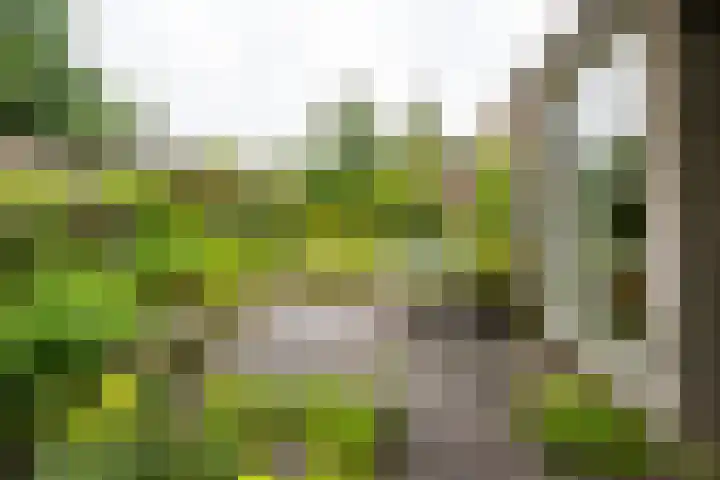 Eduard Flipsestraat 6 Hengelo thumbnail 38