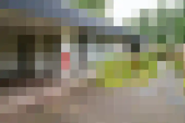 Eduard Flipsestraat 6 Hengelo thumbnail 45