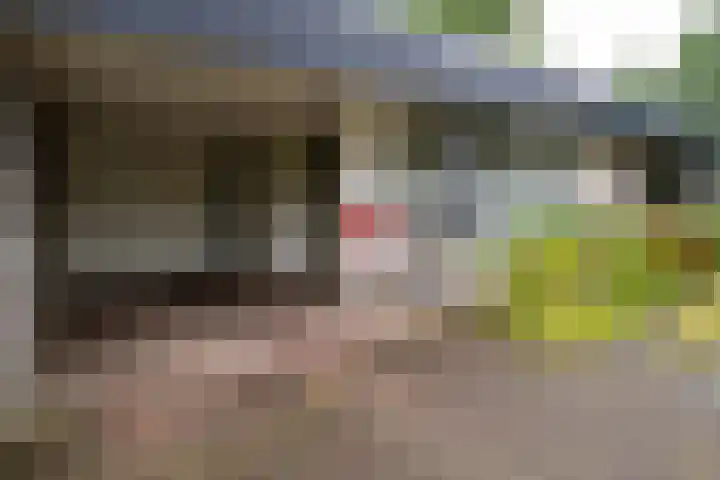 Eduard Flipsestraat 6 Hengelo thumbnail 46