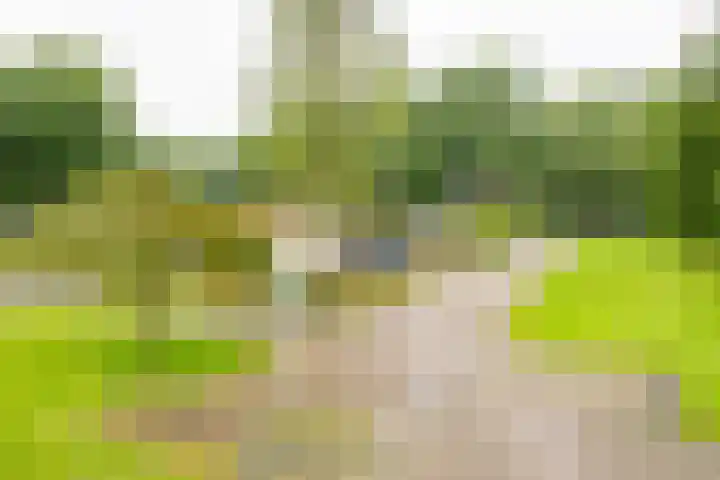 Eduard Flipsestraat 6 Hengelo thumbnail 48