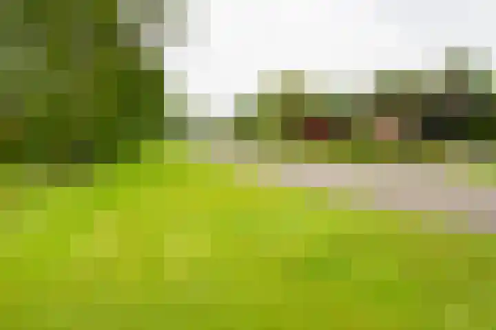 Eduard Flipsestraat 6 Hengelo thumbnail 49