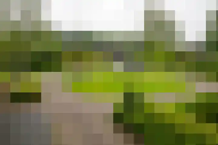 Eduard Flipsestraat 6 Hengelo thumbnail 50