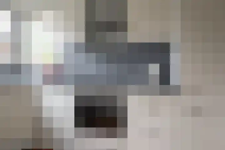 Eduard Flipsestraat 6 Hengelo thumbnail 9