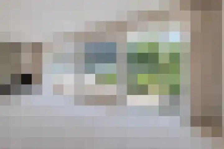 Eduard Flipsestraat 9 Hengelo thumbnail 11