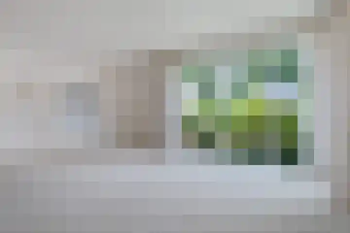 Eduard Flipsestraat 9 Hengelo thumbnail 18