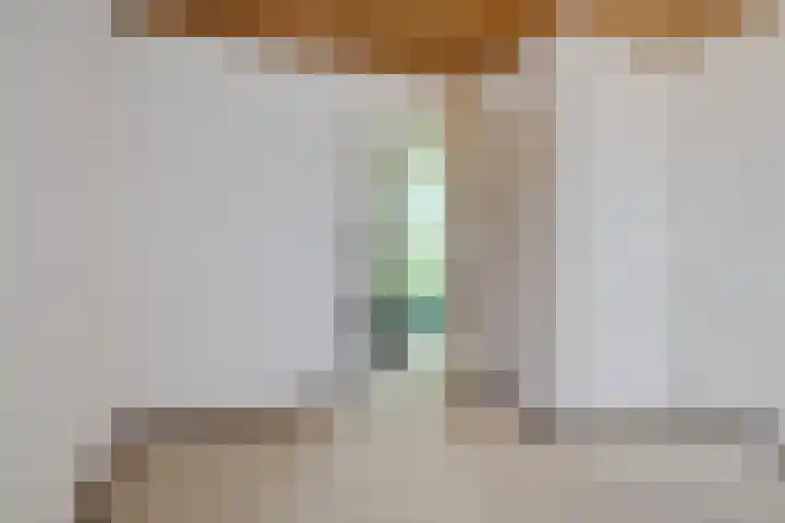 Eduard Flipsestraat 9 Hengelo thumbnail 38