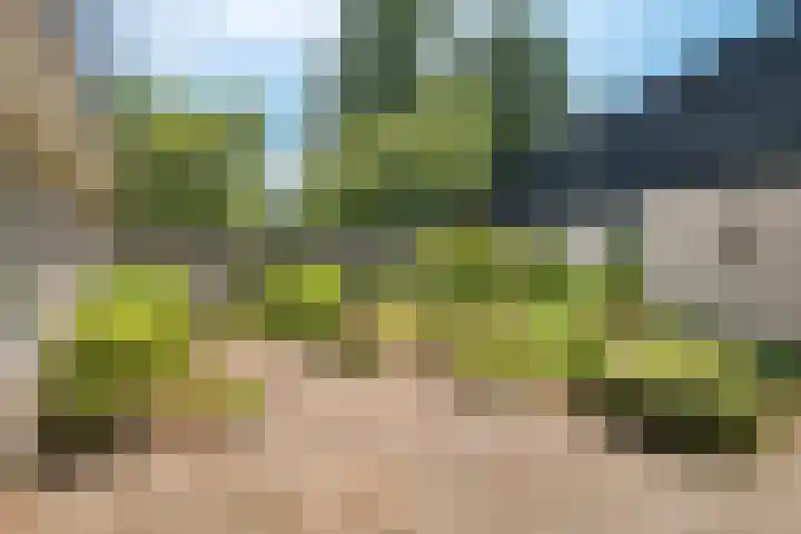 Eduard Flipsestraat 9 Hengelo thumbnail 53