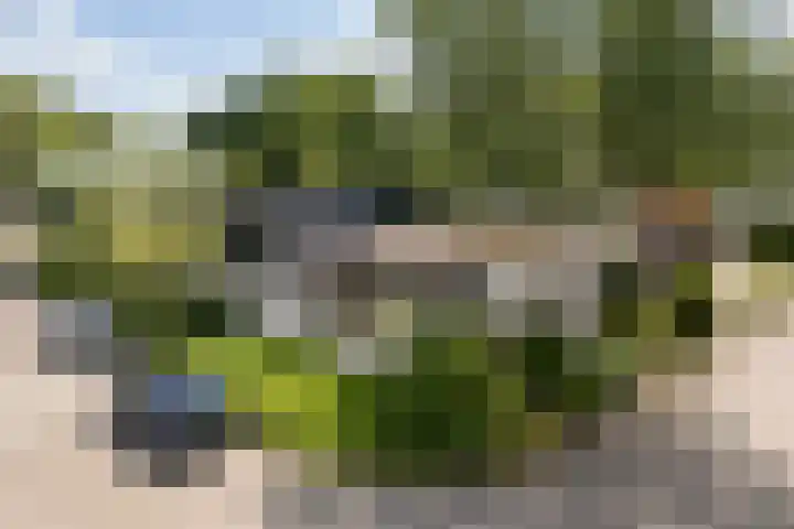 Eduard Flipsestraat 9 Hengelo thumbnail 60