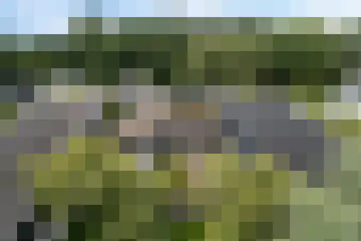 Eduard Flipsestraat 9 Hengelo thumbnail 62