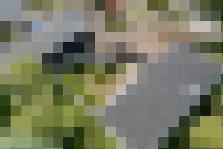 Eduard Flipsestraat 9 Hengelo thumbnail 65