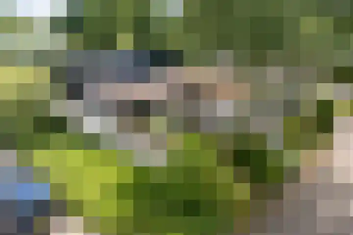 Eduard Flipsestraat 9 Hengelo thumbnail 66