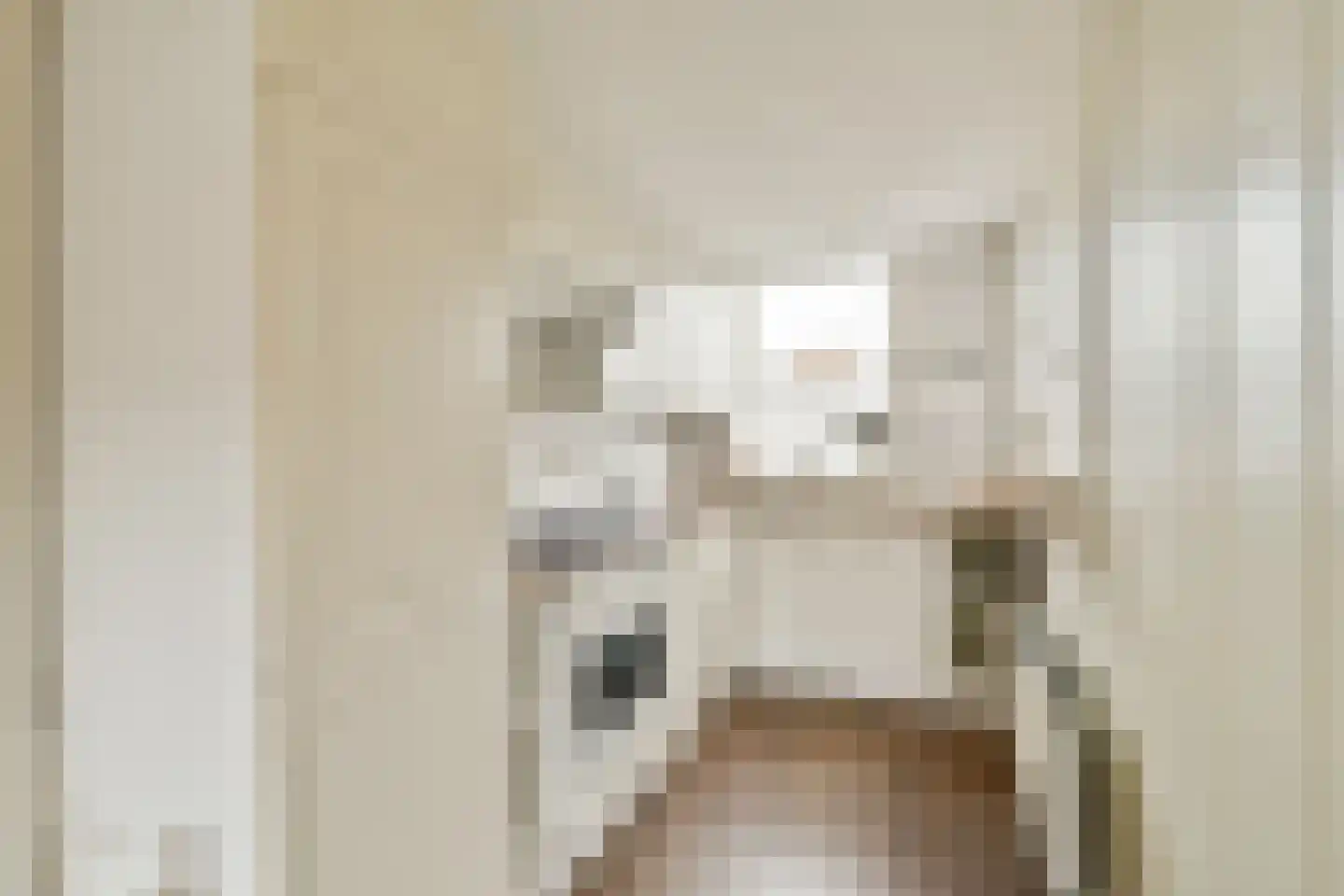 Eduard Jacobshof 8 Amsterdam thumbnail 5