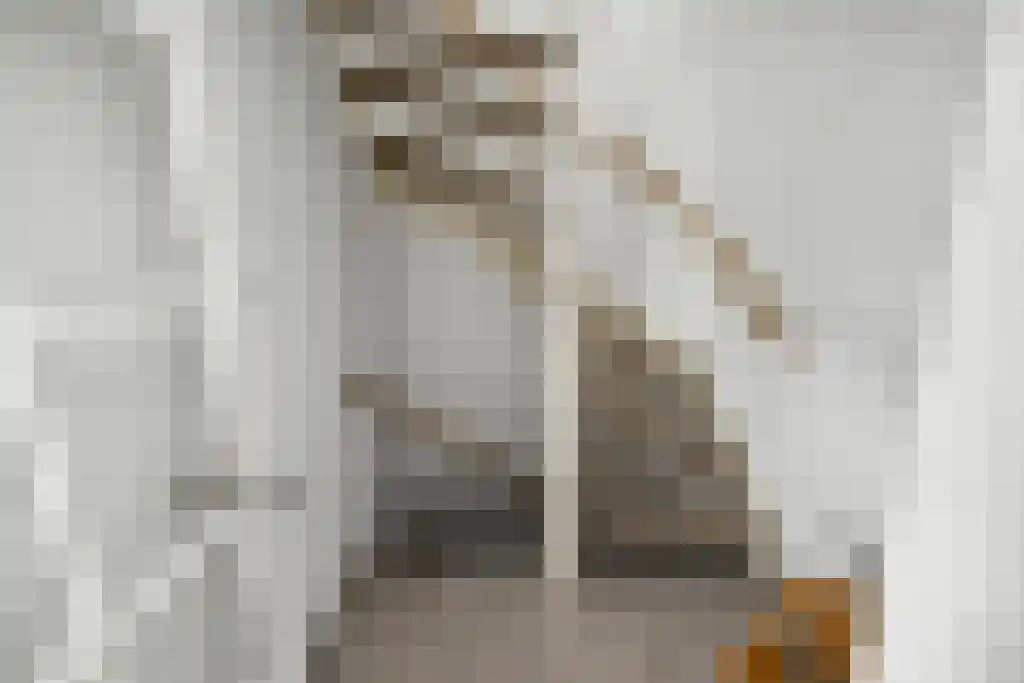 Eduard Jacobslaan 47 Beverwijk thumbnail 37