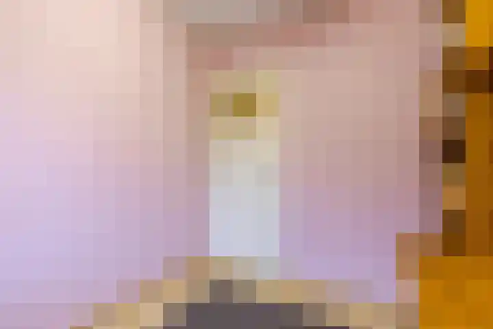 Eduard Meijerslaan 1 Tilburg thumbnail 17