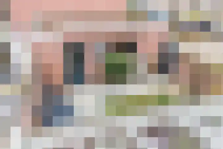 Eduard Meijerslaan 1 Tilburg thumbnail 21