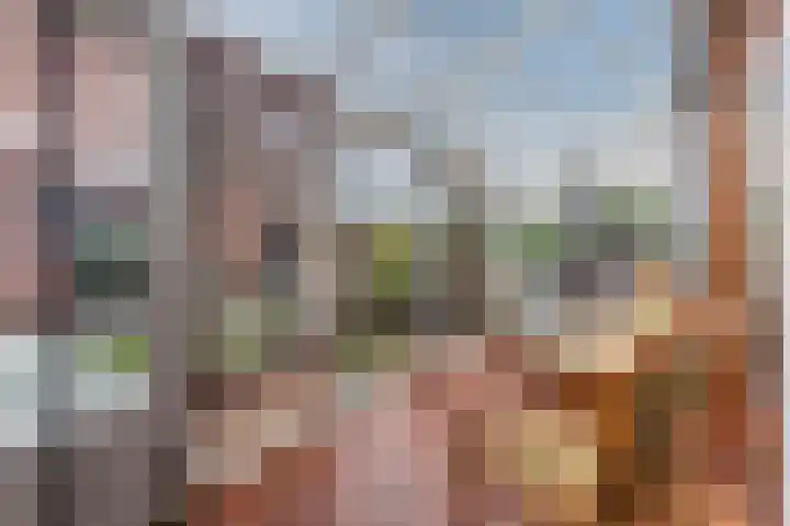 Eduard Meijerslaan 1 Tilburg thumbnail 22