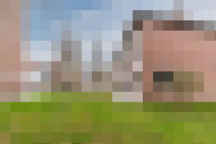 Eduard Meijerslaan 1 Tilburg thumbnail 35