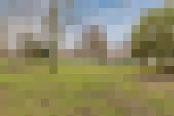 Eduard Meijerslaan 1 Tilburg thumbnail 36