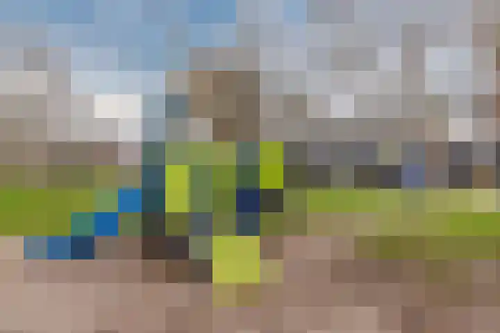 Eduard Meijerslaan 1 Tilburg thumbnail 37