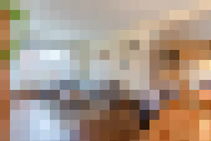 Eduard Meijerslaan 1 Tilburg thumbnail 4