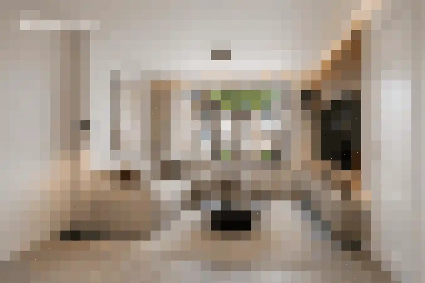 Eduard Meijerslaan 17 Tilburg thumbnail 16