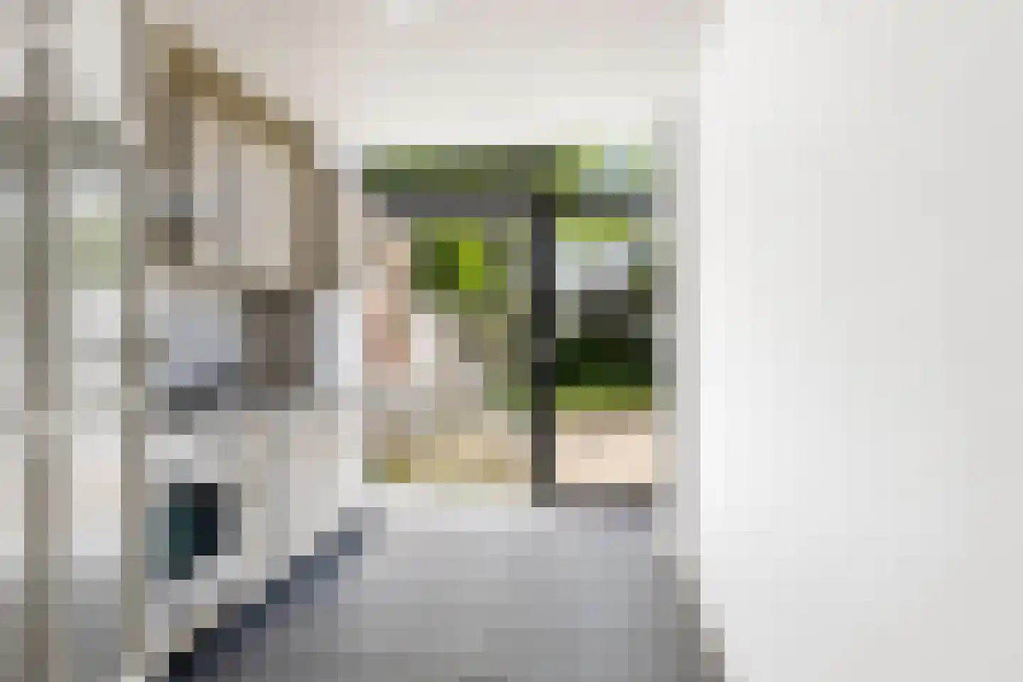 Eduard Meijerslaan 17 Tilburg thumbnail 20
