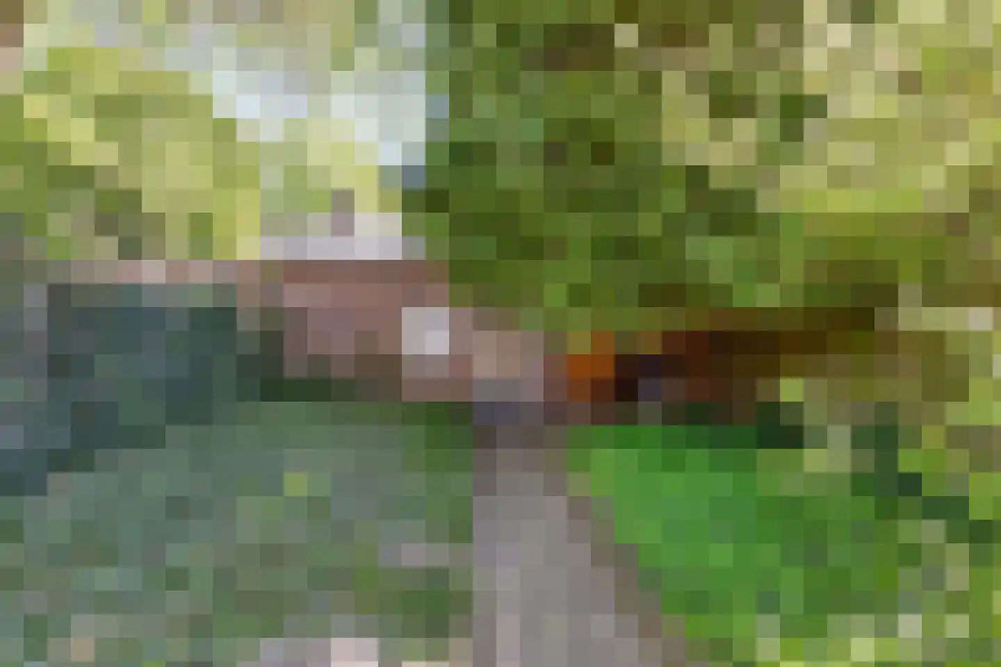 Eduard Meijerslaan 17 Tilburg thumbnail 35