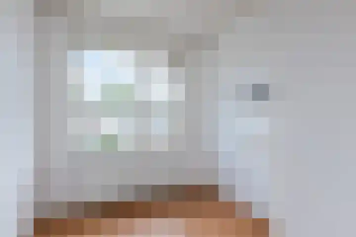 Eduard Meijerslaan 51 Tilburg thumbnail 14