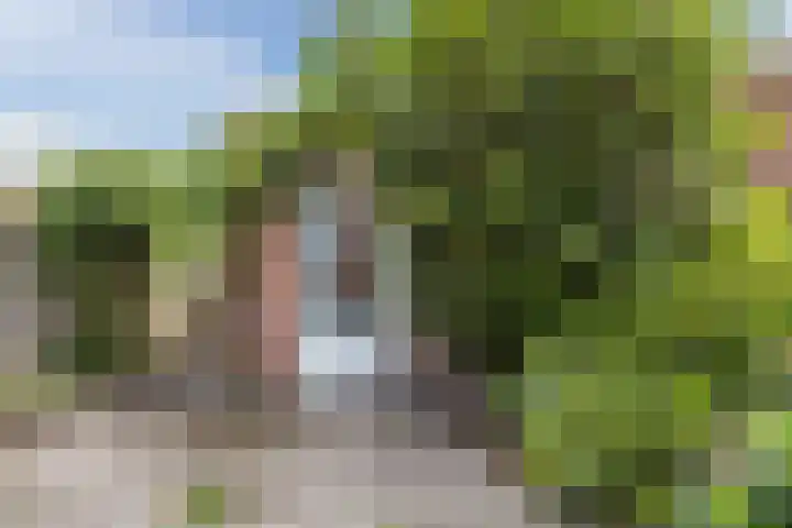 Eduard Meijerslaan 51 Tilburg thumbnail 25