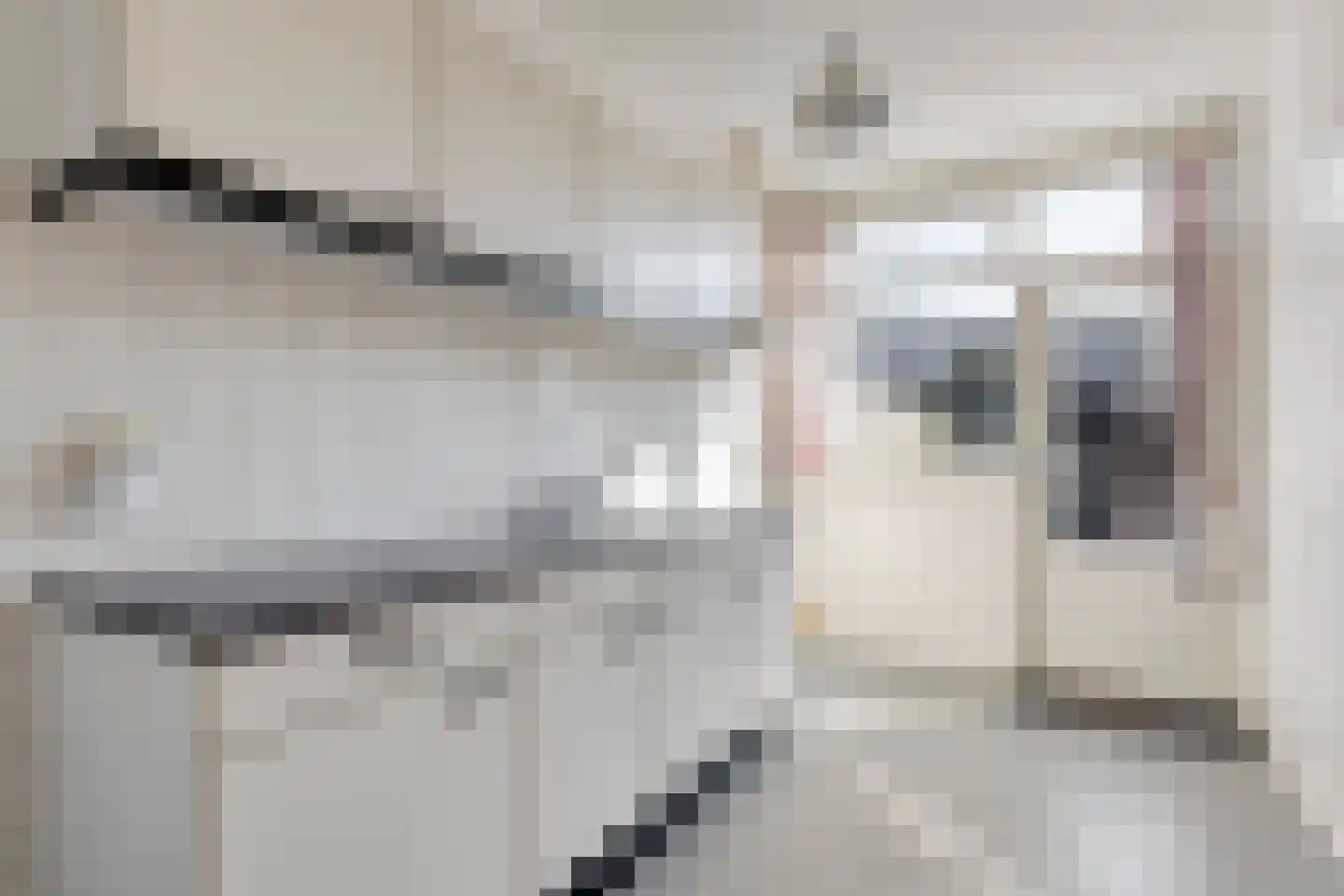 Eduard Schilderinkstraat 14 Doetinchem thumbnail 12