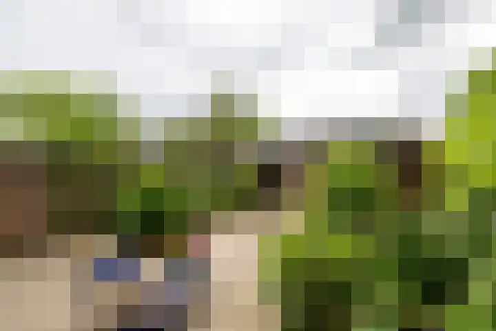 Eduard Schilderinkstraat 18 Doetinchem thumbnail 15