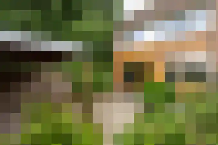 Eduard Schilderinkstraat 18 Doetinchem thumbnail 16