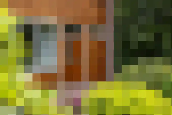 Eduard Schilderinkstraat 18 Doetinchem thumbnail 18