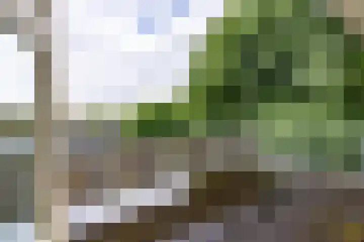 Eduard Schilderinkstraat 18 Doetinchem thumbnail 37