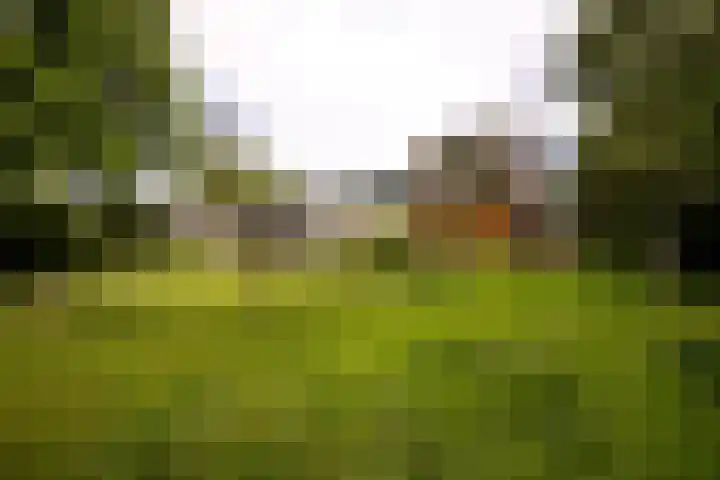 Eduard Schilderinkstraat 18 Doetinchem thumbnail 43