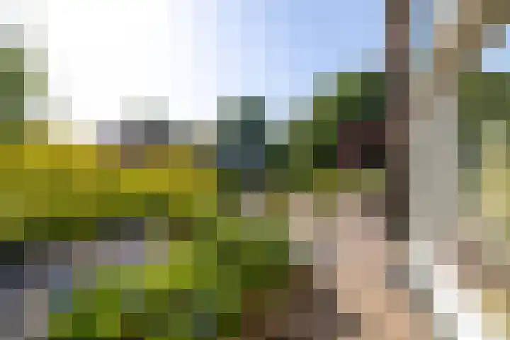 Eduard Schilderinkstraat 30 Doetinchem thumbnail 37