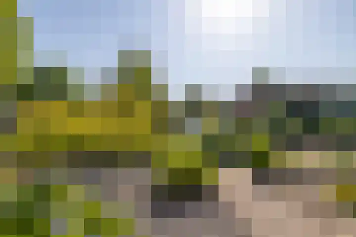 Eduard Schilderinkstraat 30 Doetinchem thumbnail 38