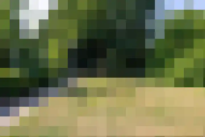 Eduard Schilderinkstraat 30 Doetinchem thumbnail 40