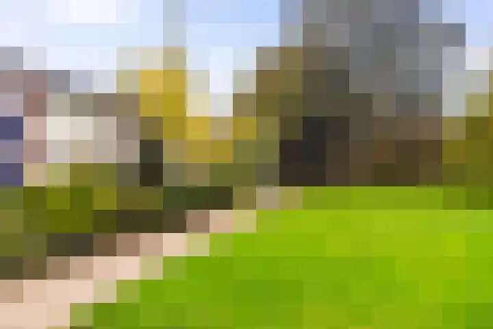 Eduard Schilderinkstraat 40 Doetinchem thumbnail 6