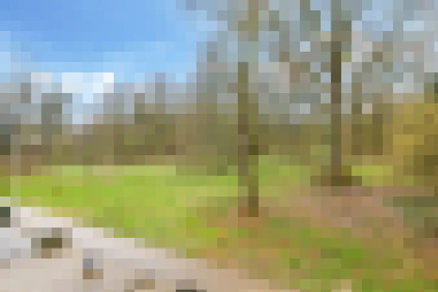Eduard Schilderinkstraat 74 Doetinchem thumbnail 34