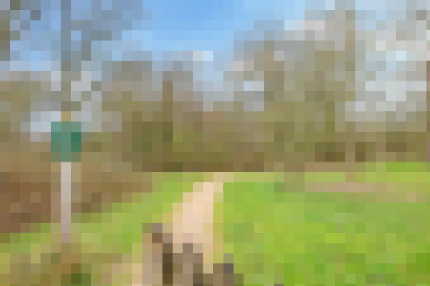 Eduard Schilderinkstraat 74 Doetinchem thumbnail 64