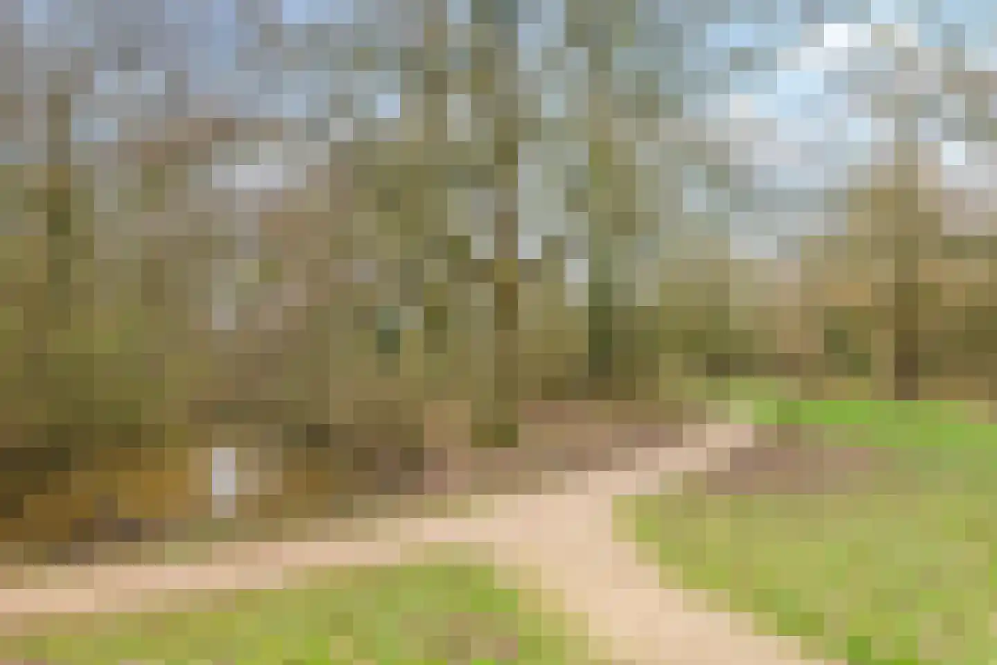 Eduard Schilderinkstraat 74 Doetinchem thumbnail 65