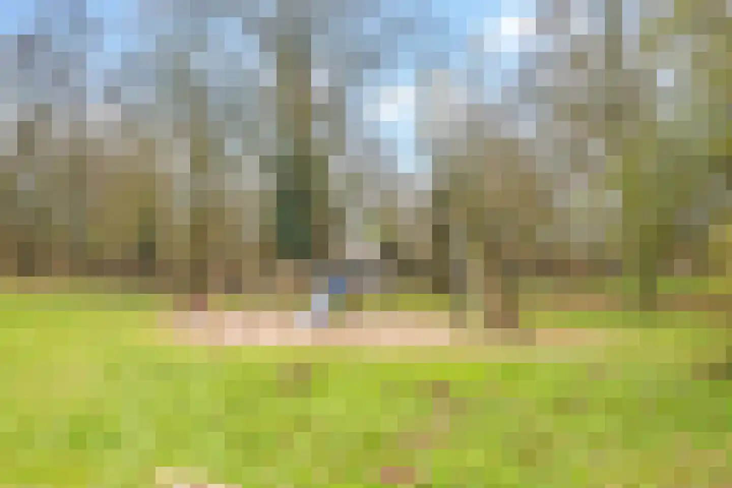 Eduard Schilderinkstraat 74 Doetinchem thumbnail 66